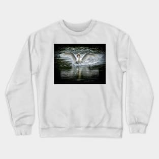 A beautiful swan Crewneck Sweatshirt
